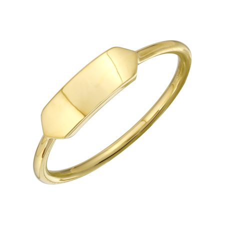 HUDSON  ID PLATE PINKY  RINGS